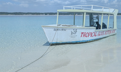 Bamburi Beach Villas Snorkel and Swim